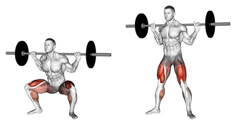 8 Best Types Of Squat Variations With Pictures Inspire US