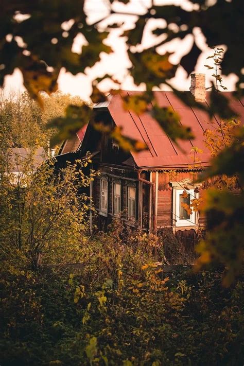 Бабушкин дом | Пейзажи, Осенние фонари, Заброшенный дом