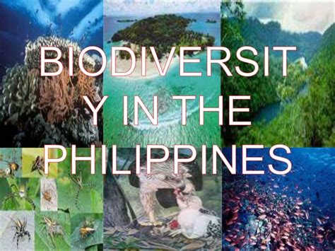 Biodiversity In The Philippines Ppt