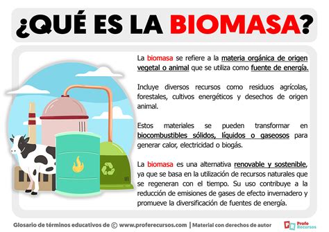 Qué es la Biomasa Definición de Biomasa