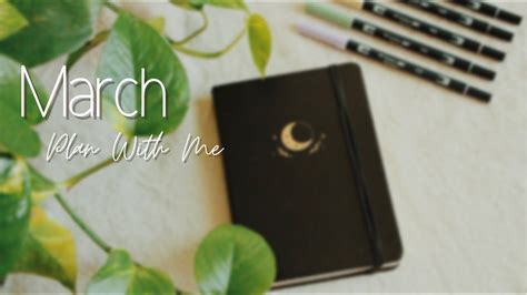 March Plan With Me Bullet Journal Setup YouTube