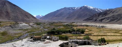 Flora and fauna of Ladakh - Rural Tourism Ladakh