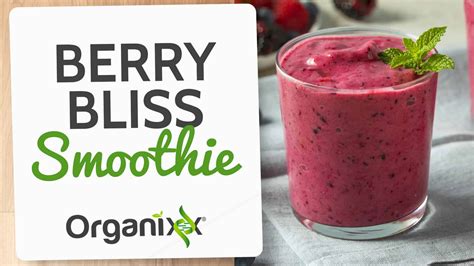 Berry Bliss Smoothie Organixx