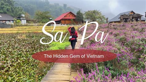 Episode 2 Exploring Vietnam We Chose This Hidden Gem Over Da Nang