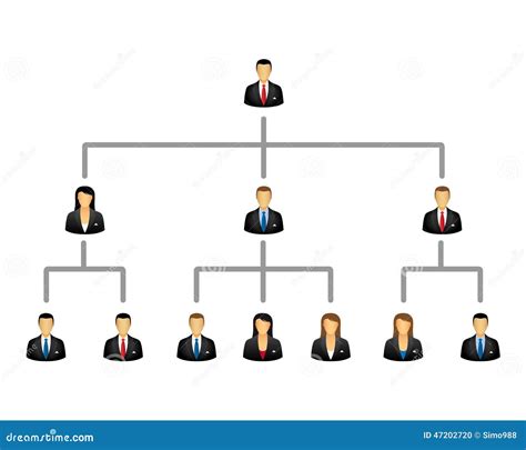 Business Hierarchy Structure Stock Vector Illustration Of