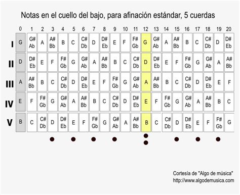 Download Diagrama Notas Bajo De 5 Cuerdas Leer Tablaturas Bajo