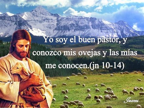 Yo Soy El Buen Pastor Y Conozco Mis Ovejas Y Las Mías Me Conocenjn