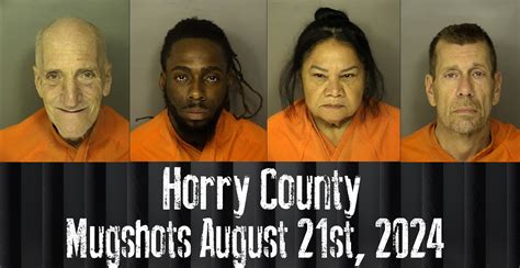 Horry County Mugshots August 21st 2024 WFXB