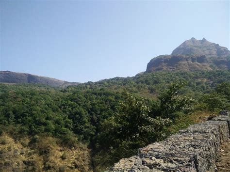 Malshej Ghat Paradise In The Monsoons Tripoto