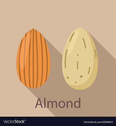 Almond Icon Flat Style Royalty Free Vector Image