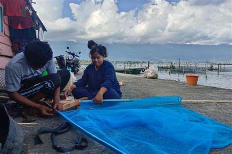 Ikan Rinuak Di Danau Maninjau Langka Sejak Tujuh Bulan Silam Antara