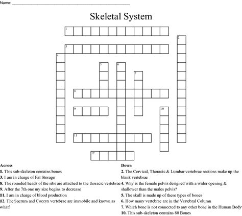 Skeletal System Crossword Wordmint James Crossword Puzzles