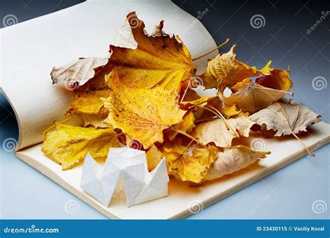 Origami and autumn leaves stock image. Image of flora - 23430115