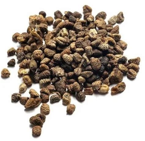 Elettaria Cardamomum Green Bold At ₹ 2600kg Balliwala Dehradun