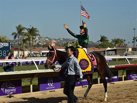 川田将雅騎手が香港の騎手招待競走に出場 Rムーア騎手、dレーン騎手らと対決 2021年11月19日掲載 ライブドアニュース