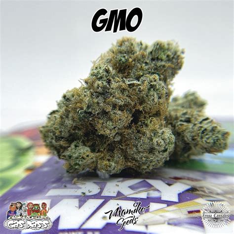 GMO Pt.2 (by: Zeno Cannabis) - Hippy Life Entertainment