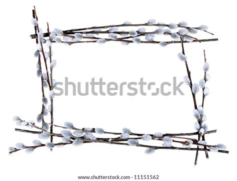 Rectangle Border Pussy Willow Branches Lined Stock Photo Edit Now