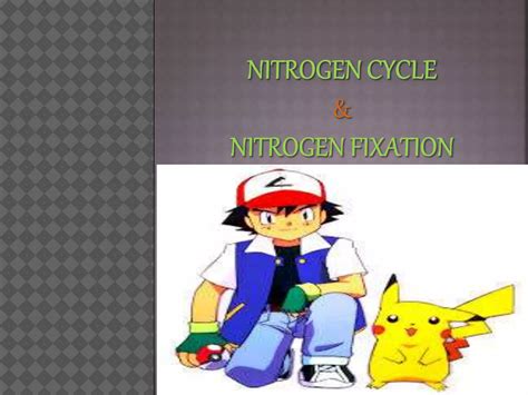 Nitrogen Cycle And Nitrogen Fixation Ppt