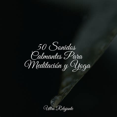 Sonidos Calmantes Para Meditaci N Y Yoga Album By Naturaleza Spotify