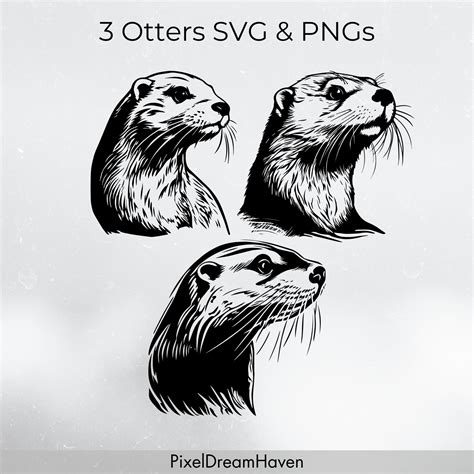 3x Otter Svg, Otter Png, Otter Clip Art, Otter Graphic, Otter Vector ...