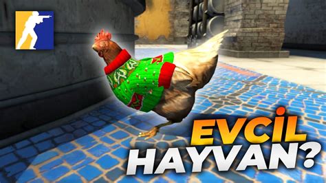 Counter Strike Ye Evcil Hayvan M Geliyor Cs Haberleri Youtube