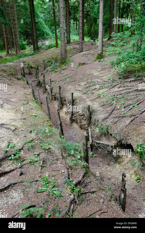 Old trenches from the First World War at Fort Douaumont, Verdun Stock Photo: 61209103 - Alamy