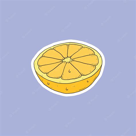 Premium Vector Fresh Orange Slices