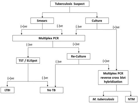 Diagnostic Evaluation of Tuberculosis | IntechOpen