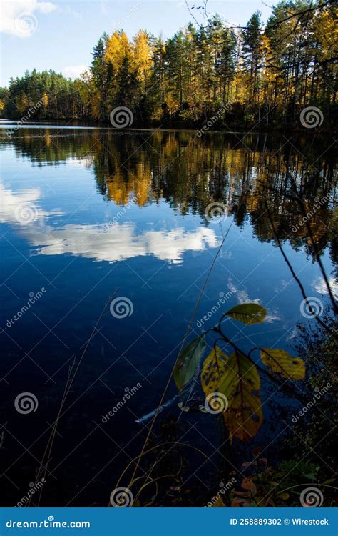 Calm Lake with a Reflection of the Trees and Clouds Stock Photo - Image of park, travel: 258889302