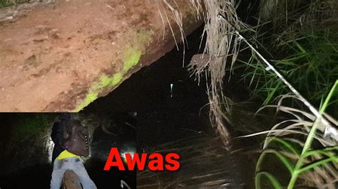 NYALI CIUT Jangan Terlalu Malam Mancing Di Hutan Harus Cepat Pindah