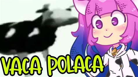 🐮la Vaca Polaca Mini Cover Español🐮 Youtube