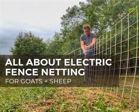 All About Electric Fence Netting For Goats Grazing With Leslie