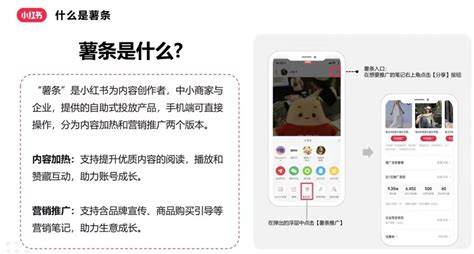 小红书上怎么涨粉丝（小红书的运营技巧） 8848seo