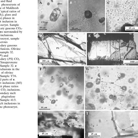 Melt And Fluid Inclusions In Phenocrysts Of Alkaline Suite Of Makhtesh Download Scientific