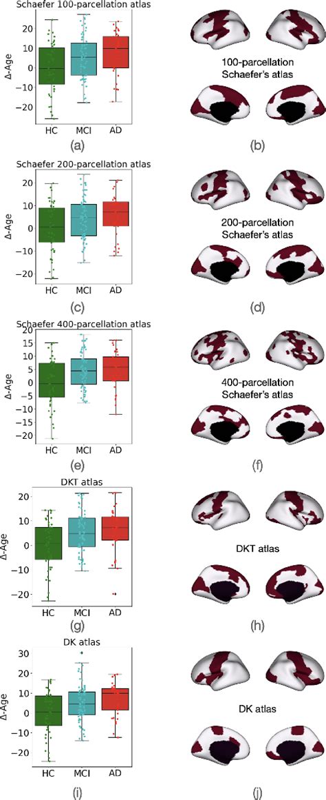 Figure From Towards A Foundation Model For Brain Age Prediction Using