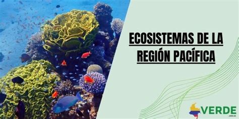 Ecosistemas De La Región Pacífica Colombia Verde