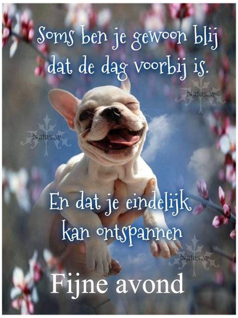 Pin Van Dom Petra Op Fijne Avond Grappige Dierencitaten Grappig