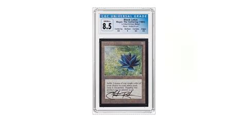 Magic The Gathering Black Lotus Public Auction Record | Hypebeast