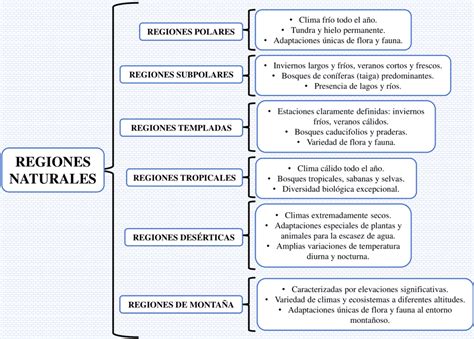 Cuadros Sinópticos De Las Regiones Naturales 【descargar】