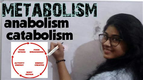 Metabolism चयपचय catabolism anabolism home science food and