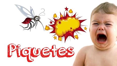 Como Hacer Para Que No Te Piquen Los Mosquitos Youtube