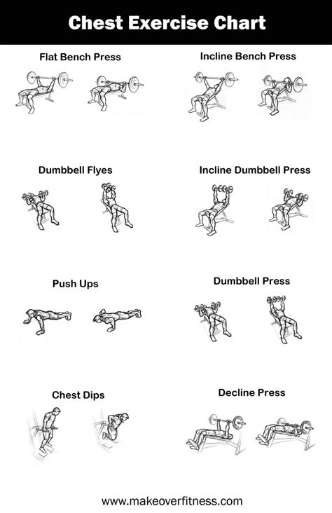 Free Printable Gym Workout Routines | Free Printable