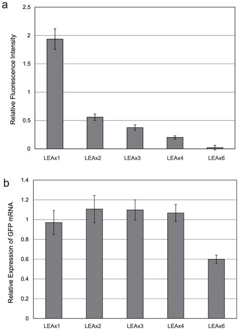 A Relative GFP Expression Levels And B MRNA Levels With