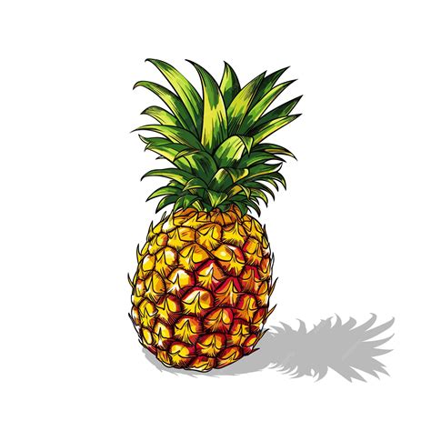 Premium Vector Pineapple Fruit Vector Realistic Fruit Vector Illustration