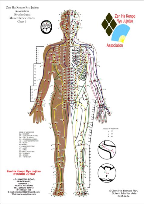 Pressure Point Chart English