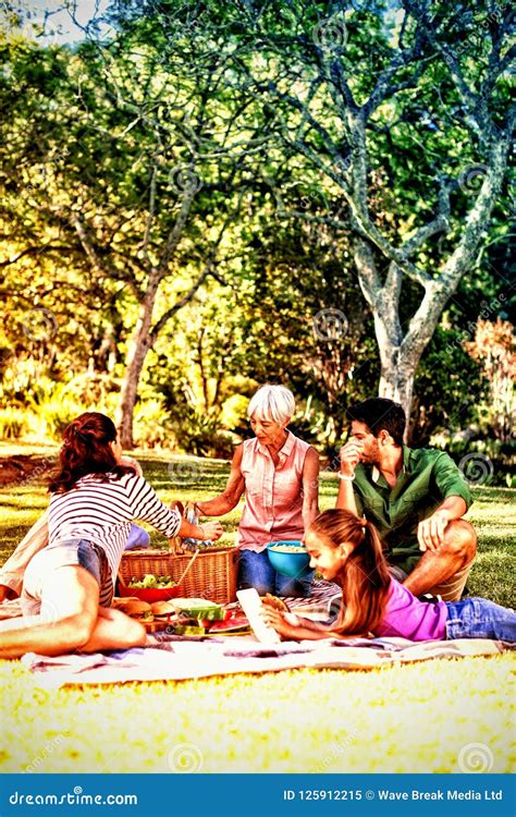 Familia Feliz Que Tiene Comida Campestre En El Parque Imagen De Archivo