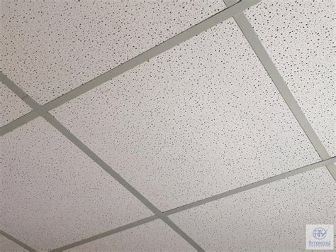 Acoustic Ceiling