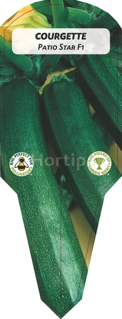 Courgette Patio Star F Hortipak E Store