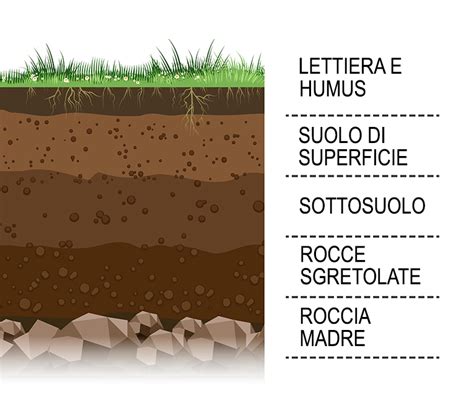 Speciale Ambiente Il Suolo Una Risorsa Per La Vita Articoli