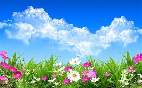 Spring Day Grass Flowers Spring Clouds Sky Bees Hd Wallpaper Peakpx